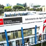 Midagri entra en reorganización: Evaluarán su gestión durante 120 días