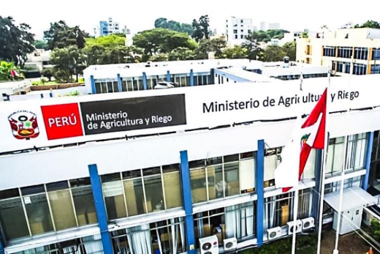 Midagri entra en reorganización: Evaluarán su gestión durante 120 días